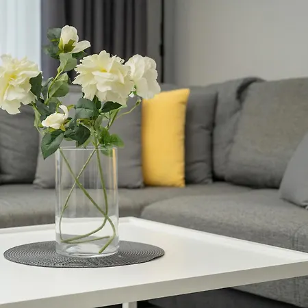 Center Close To The Market And Park With Parking & Air Conditioning By Renters Prestige